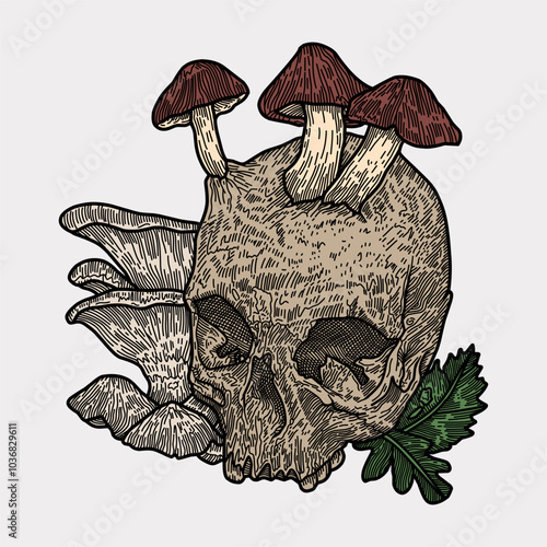 Mushroom skull hand drawn Colourful illustration artwork