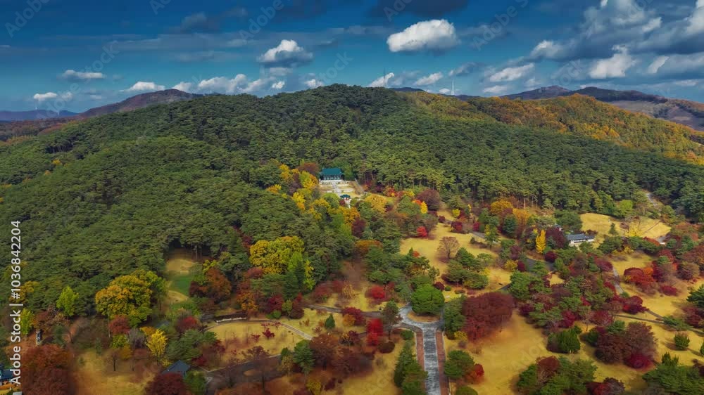 ASAN, SOUTH KOREA - OCTOBER 9, 2024: Aerial view of autumn colors in a serene Korean landscape with vibrant trees and clear skies ASAN, SOUTH KOREA - OCTOBER 9, 2024: Aerial view of autumn colors in a serene Korean landscape with vibrant trees and clear skies