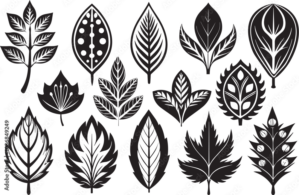 Set of graphic design vector icon leaf ornaments. Hand drawn vector illustration Set of graphic design vector icon leaf ornaments. Hand drawn vector illustration
