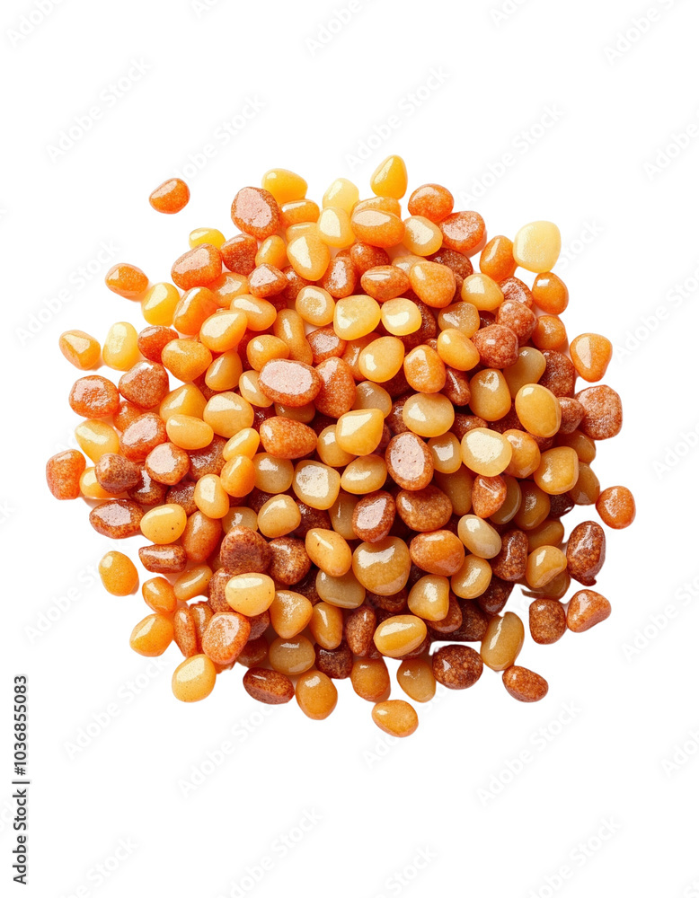 Variety of Colorful Seeds Piled Together in a Distinct Arrangement Variety of Colorful Seeds Piled Together in a Distinct Arrangement