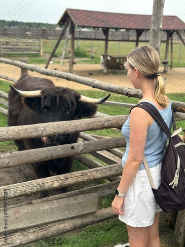 Animals in eco zoo,Wildlife,Ecosafari,feeding animals in the wild photo