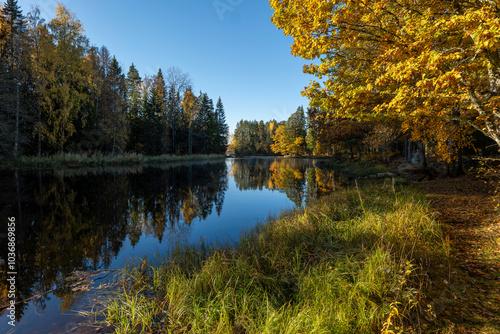 Sunny river landscape in autumn. Farnebofjarden national park in north of Sweden photo