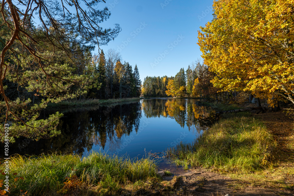 Sunny river landscape in autumn. Farnebofjarden national park in north of Sweden Sunny river landscape in autumn. Farnebofjarden national park in north of Sweden