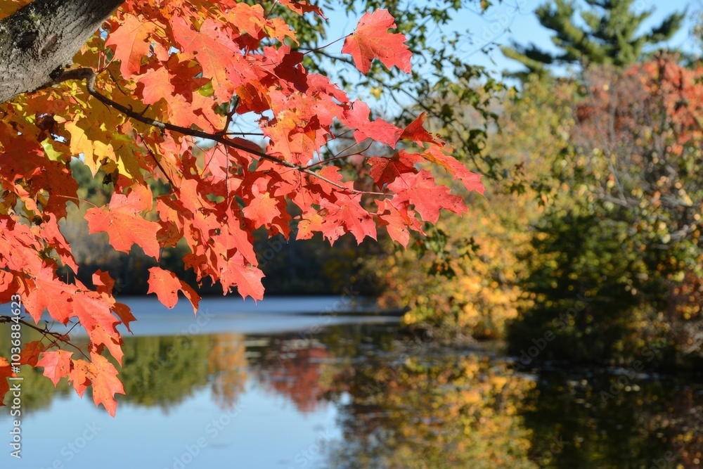 Captivating autumn leaves reflect on calm waters of a serene lake in a vibrant forest Captivating autumn leaves reflect on calm waters of a serene lake in a vibrant forest