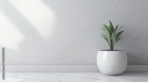 A minimalistic indoor scene featuring a potted plant on a marble surface with natural light casting soft shadows against a light gray wall.