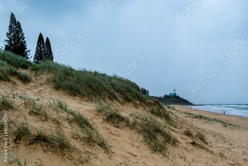 Scenic view of sandhills and beach grasses at Kawana Beach in Queensland, Australia photo