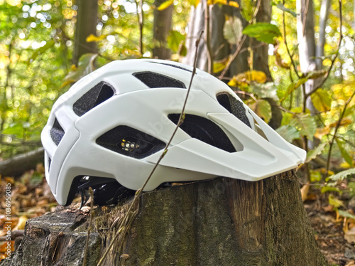 bicycle mtb helmet in a forest photo