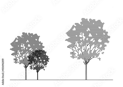 2D Trees Front View CAD Illustration for Architecture Landscape Design Projects: A Versatile Resource for Background Use, Offering Detailed Visuals to Enhance Landscape Planning and Presentations