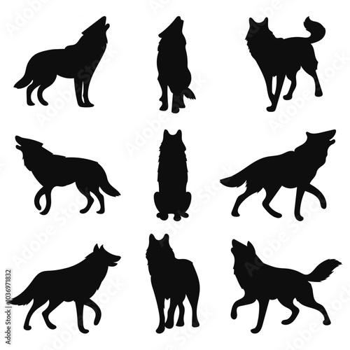 Set of Wolf Silhouettes Standing, Sitting, and Howling Vector Illustration