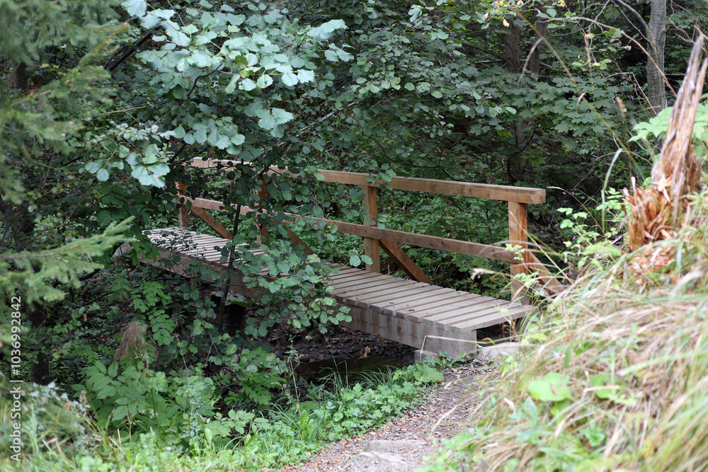 Wooden bridge on the hiking trail from Tatranska Matliare to Tatranska Lomnica in the High Tatras, Slovakia. Wooden bridge on the hiking trail from Tatranska Matliare to Tatranska Lomnica in the High Tatras, Slovakia.