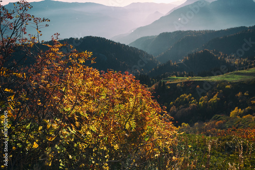 Autumn in the mountains