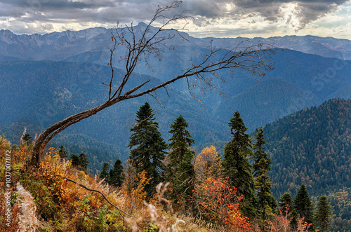 Autumn in the mountains