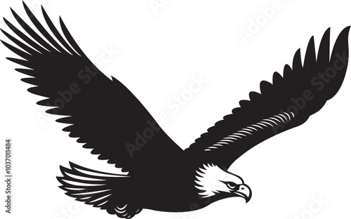 The silhouette of wild eagle vector art photo