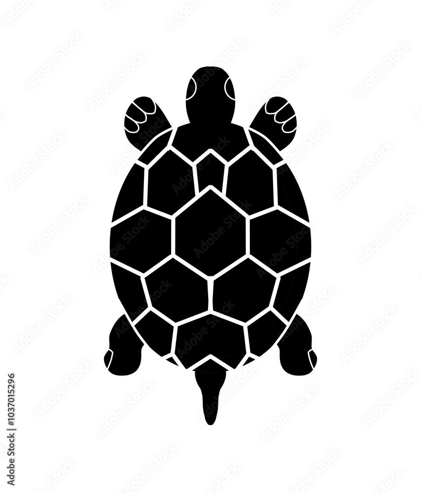 Fototapeta premium icon tutle