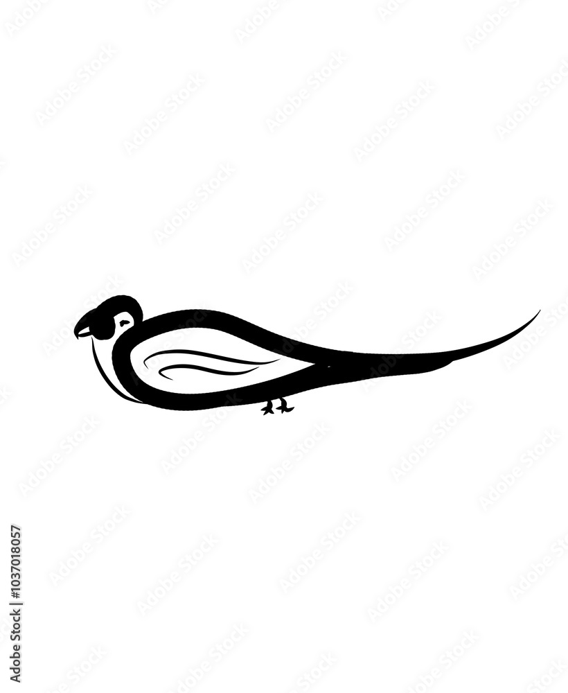 black and white birt black and white birt