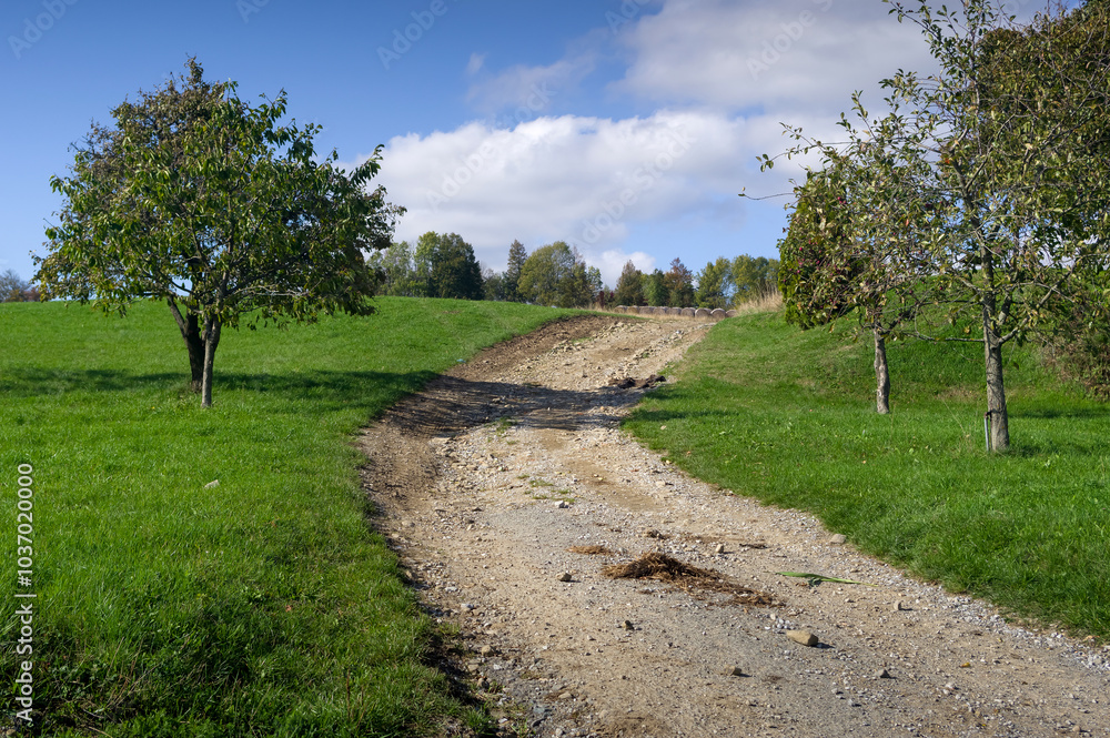 Old dirt road in the countryside. A path suitable for pedestrians and agricultural machinery. Old dirt road in the countryside. A path suitable for pedestrians and agricultural machinery.