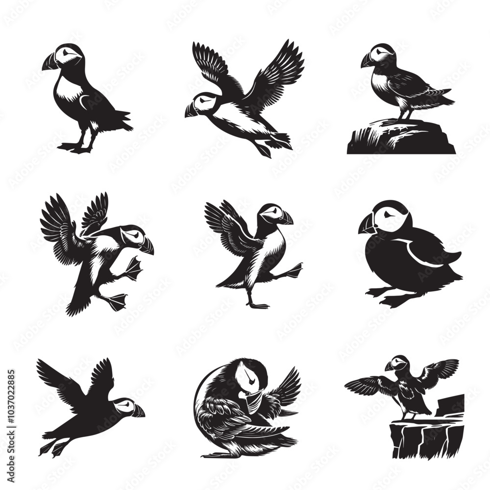 Obraz premium Collection of Atlantic puffin Vector illustration - Atlantic puffin Bird Silhouette Design