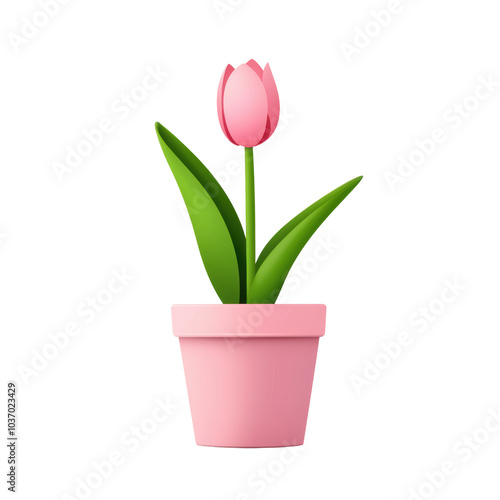 vibrant pink tulip in pastel pink pot, symbolizing freshness and beauty, adds cheerful touch to any space. Perfect for home decor or gifting. 