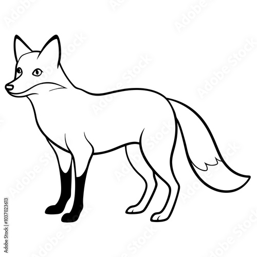 fox cartoon isolated on white