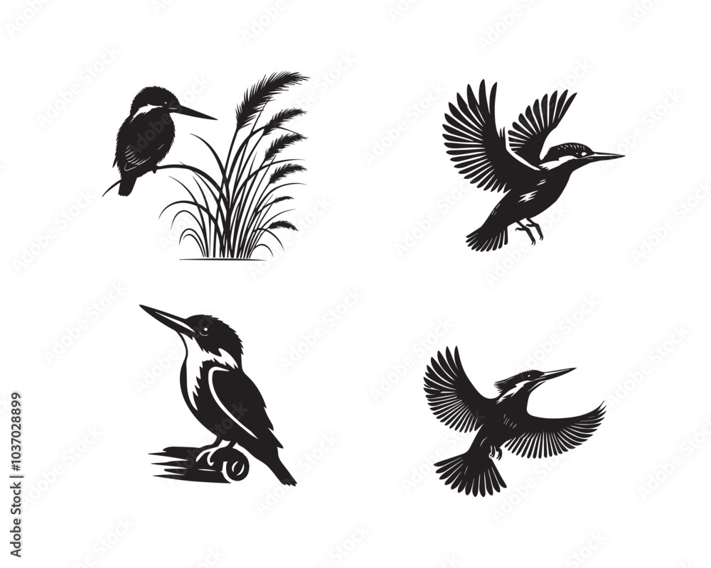 Fototapeta premium Collection of Common kingfisher Vector illustration - Common kingfisher Bird Silhouette Design 
