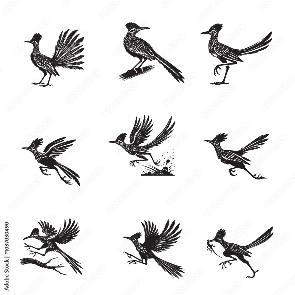 Obraz premium Set of Greater Roadrunner silhouettes Design - Greater Roadrunner Vector illustration 