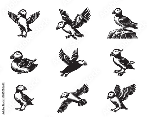 Collection of Horned puffin Vector illustration in black and white