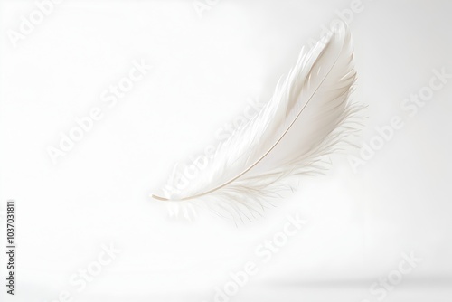 Delicate Feather Floating in Midair on White Background Symbolizing Lightness and Grace