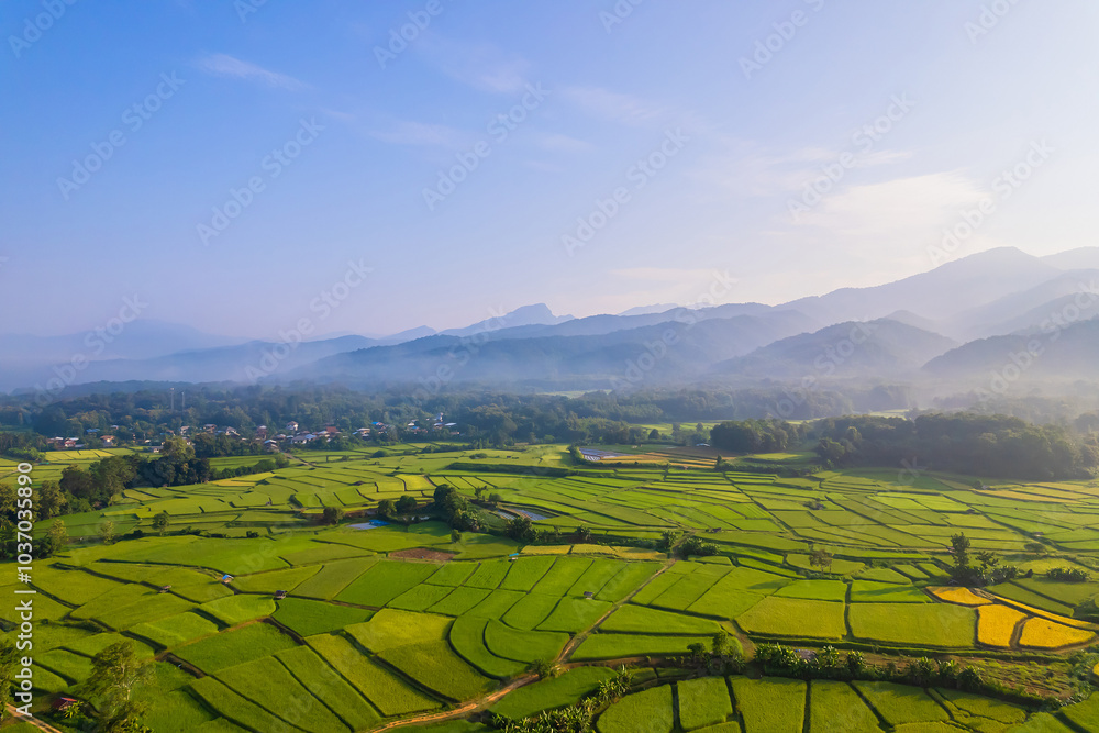 Beautiful aerial view natural of the terraced green and yellow rice field in rainy season for cultivation in Nan Province, Thailand. Beautiful aerial view natural of the terraced green and yellow rice field in rainy season for cultivation in Nan Province, Thailand.