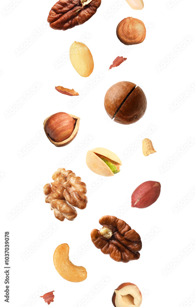 Macadamia and other nuts in air on white background Macadamia and other nuts in air on white background