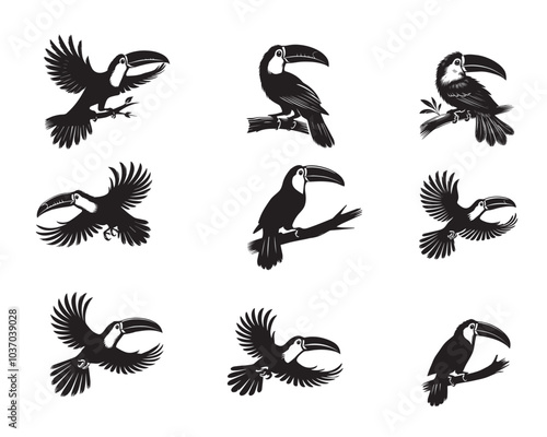 Collection of Toco toucan Vector illustration - Toco toucan Bird Silhouette Design
