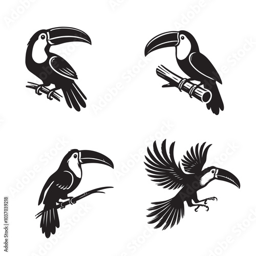 Collection of Toco toucan Vector illustration - Toco toucan Bird Silhouette Design
