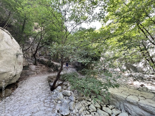 Dry river bed of Velika Paklenica torrent, Starigrad (Paklenica National Park, Croatia) - Ausgetrocknetes Flussbett des Wildbachs Velika Paklenica, Starigrad (Nationalpark Paklenica, Kroatien) photo