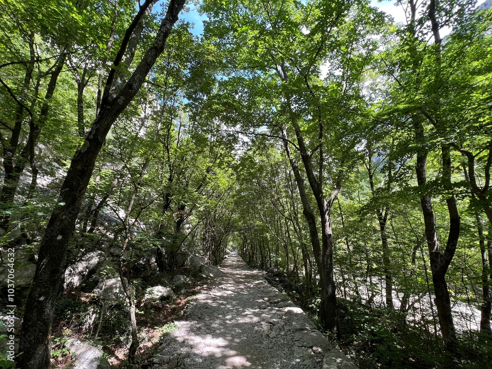 Mountaineering and recreational trails in the Velika Paklenica canyon, Starigrad (Paklenica National Park, Croatia) - Bergsteiger in der Schlucht Velika Paklenica, Starigrad (Nationalpark Paklenica) Mountaineering and recreational trails in the Velika Paklenica canyon, Starigrad (Paklenica National Park, Croatia) - Bergsteiger in der Schlucht Velika Paklenica, Starigrad (Nationalpark Paklenica)