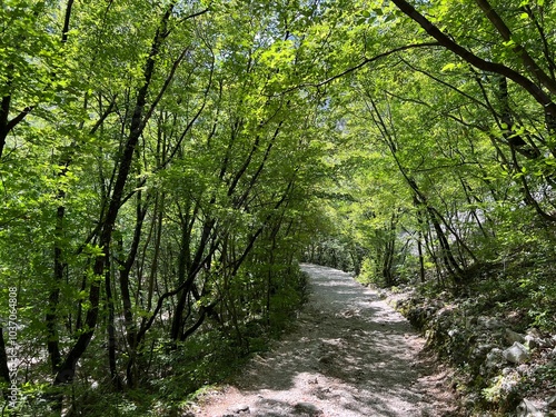 Mountaineering and recreational trails in the Velika Paklenica canyon, Starigrad (Paklenica National Park, Croatia) - Bergsteiger in der Schlucht Velika Paklenica, Starigrad (Nationalpark Paklenica)