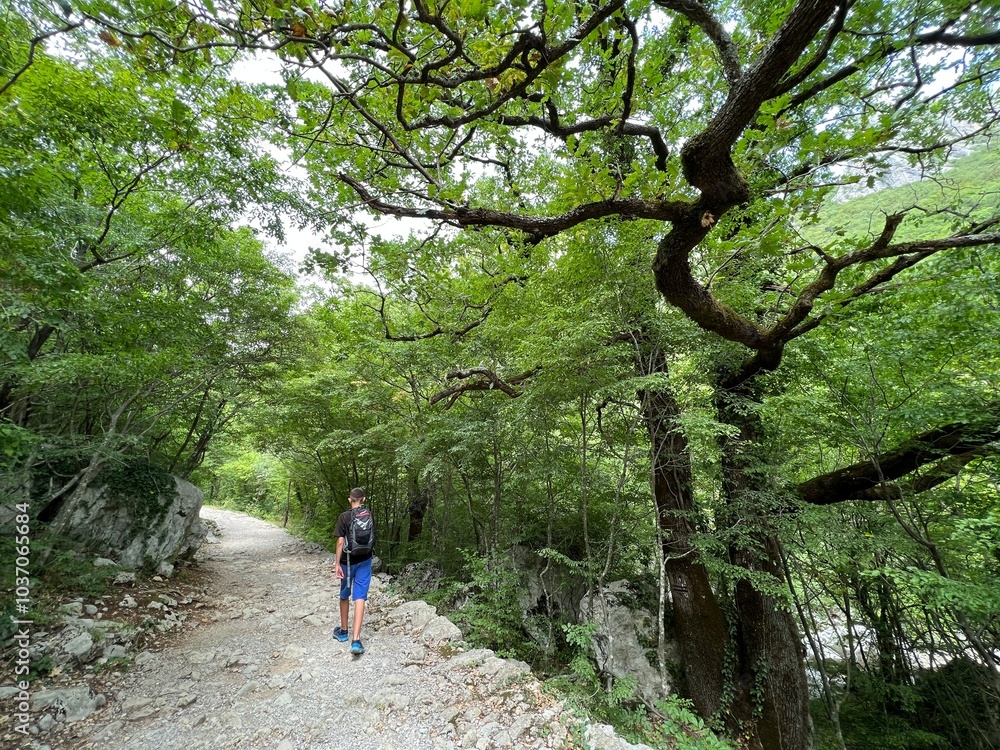 Mountaineering and recreational trails in the Velika Paklenica canyon, Starigrad (Paklenica National Park, Croatia) - Bergsteiger in der Schlucht Velika Paklenica, Starigrad (Nationalpark Paklenica) Mountaineering and recreational trails in the Velika Paklenica canyon, Starigrad (Paklenica National Park, Croatia) - Bergsteiger in der Schlucht Velika Paklenica, Starigrad (Nationalpark Paklenica)