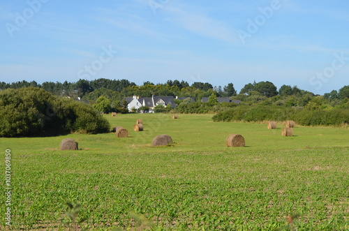 Locmariaquer (Morbihan - Bretagne - France)
