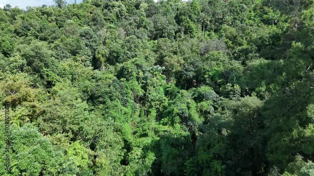 Aerial drone shot over primary Jungle tropical rain forest in Nan, Thailand. Aerial view, moving over a rainforest tree canopy in a slow pace beautiful green nature background of a tropical forest. Aerial drone shot over primary Jungle tropical rain forest in Nan, Thailand. Aerial view, moving over a rainforest tree canopy in a slow pace beautiful green nature background of a tropical forest.