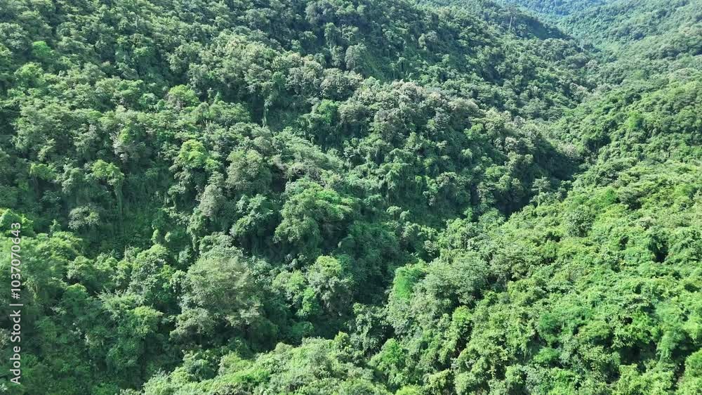 Aerial drone shot over primary Jungle tropical rain forest in Nan, Thailand. Aerial view, moving over a rainforest tree canopy in a slow pace beautiful green nature background of a tropical forest. Aerial drone shot over primary Jungle tropical rain forest in Nan, Thailand. Aerial view, moving over a rainforest tree canopy in a slow pace beautiful green nature background of a tropical forest.