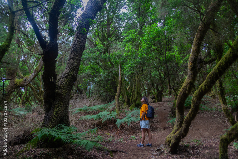 Young woman hiking contemplating nature in green forest Young woman hiking contemplating nature in green forest