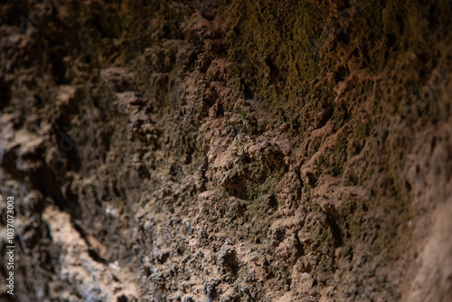 Rough and textured cave wall showing mineral deposits