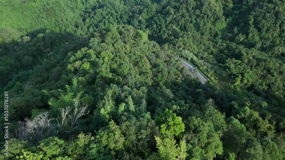Aerial drone shot over primary Jungle tropical rain forest in Nan, Thailand. Aerial view, moving over a rainforest tree canopy in a slow pace beautiful green nature background of a tropical forest. Aerial drone shot over primary Jungle tropical rain forest in Nan, Thailand. Aerial view, moving over a rainforest tree canopy in a slow pace beautiful green nature background of a tropical forest.