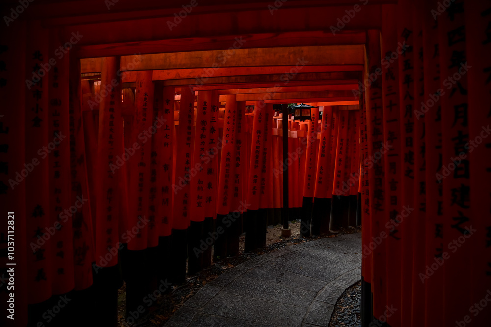 Fototapeta premium Dramatic view of red gates 