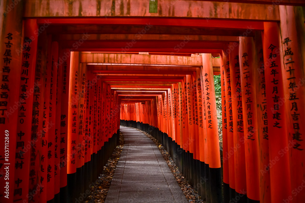 Fototapeta premium Dramatic view of red gates 