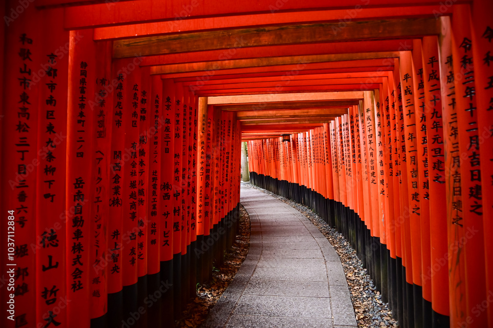 Fototapeta premium Dramatic view of red gates 