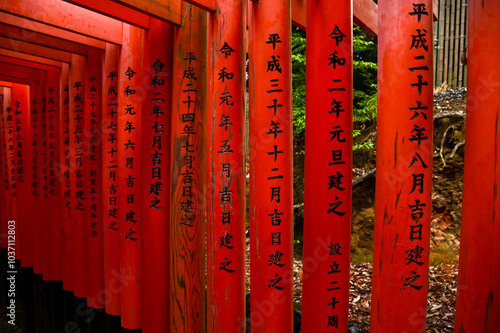 Dramatic view of red gates 