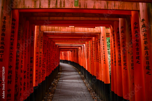 Dramatic view of red gates 