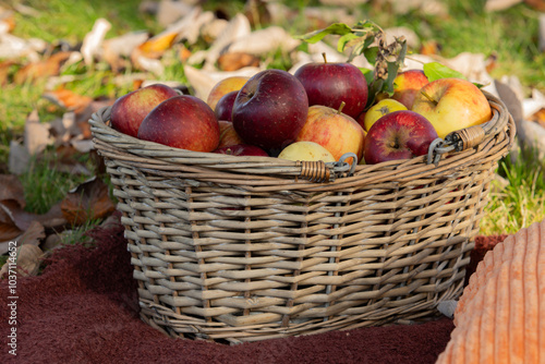 Red and yellow appple in the basket photo