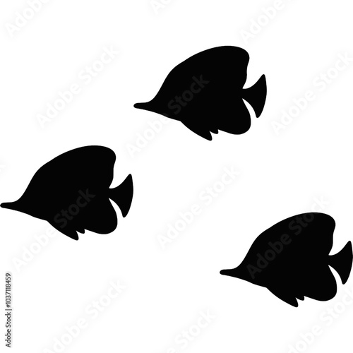 School of fish. Group of Nemo fish. School of fish in the ocean. Underwater world 