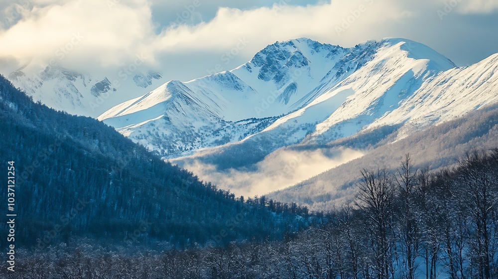 Snow-Capped Mountain Peaks Rising Above a Forest in Mist Snow-Capped Mountain Peaks Rising Above a Forest in Mist