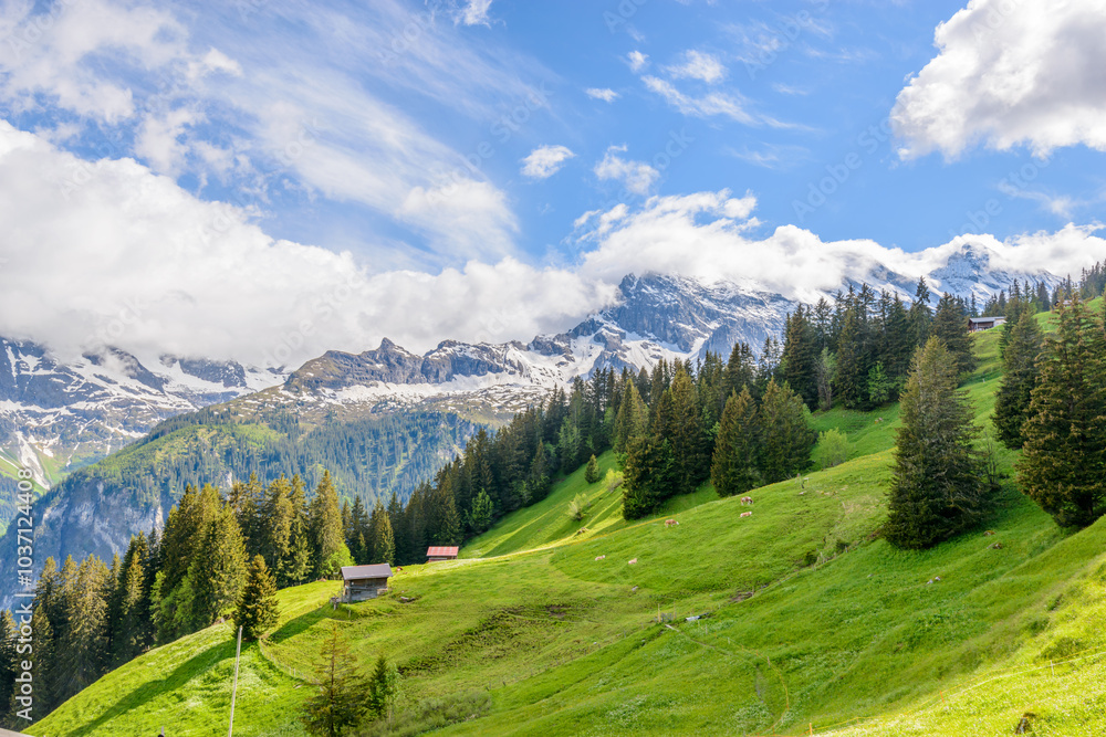 Fototapeta premium Beautiful landscape of valley in Alpine mountains, small trail, hike root, majestic picturesque view in sunny day